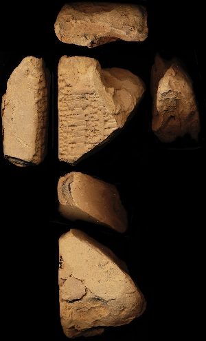 N3804