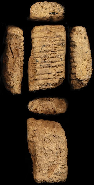 N3806
