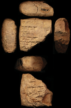 N3816