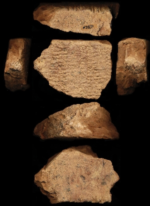 N3831