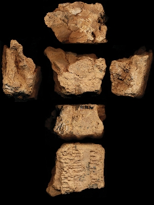N3833