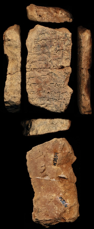N3830