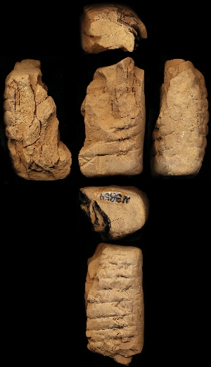 N3854