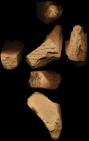 N3865