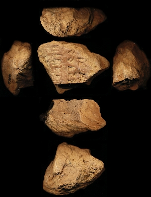 N3890