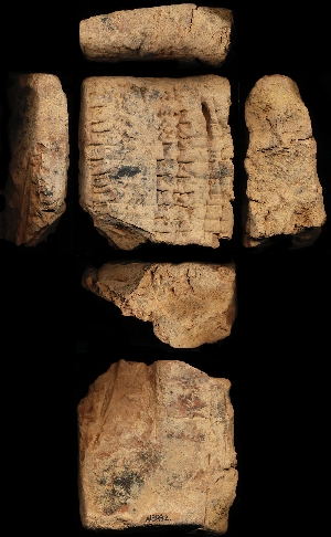 N3892