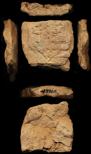 N3902