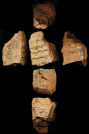N3906