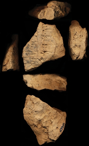N3907