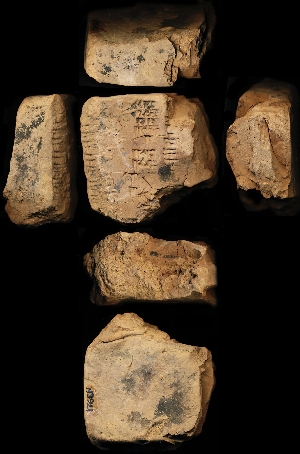 N3921