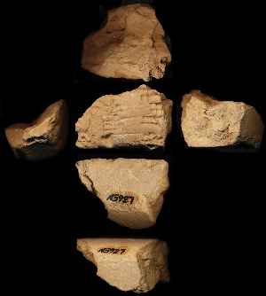 N3927