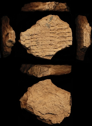 N3929