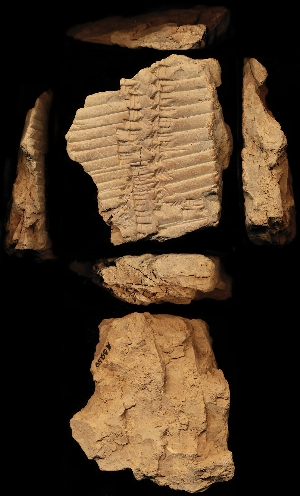 N3939