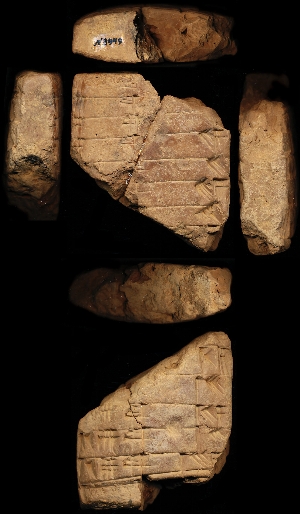 N3946