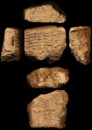 N3965