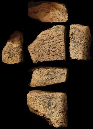 N3973A
