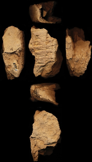N3979