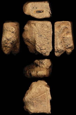 N3981