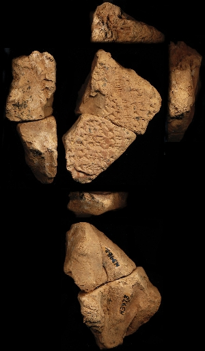 N3973