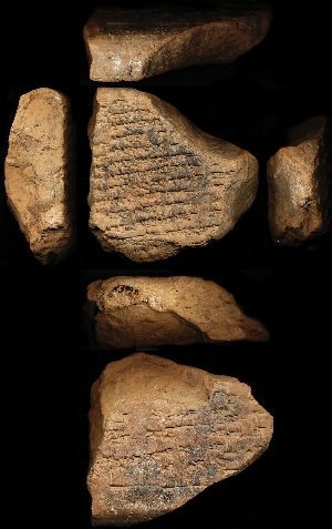 N3992