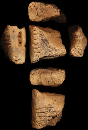 N3998