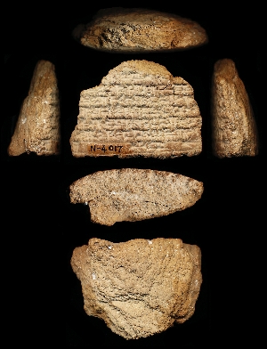 N4017