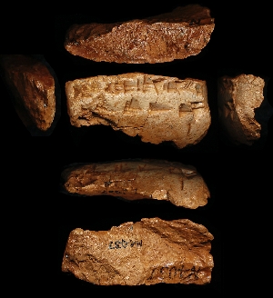 N4037