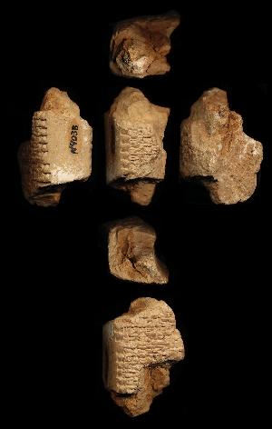N4038