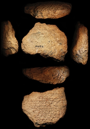 N4124