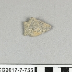807229
