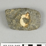 807384