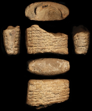 N4129