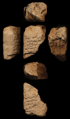 N4141