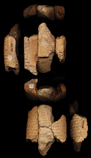 N4142