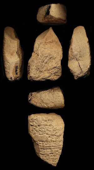 N4146