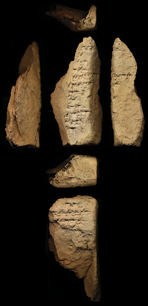 N4155
