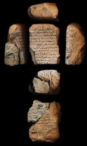 N4161