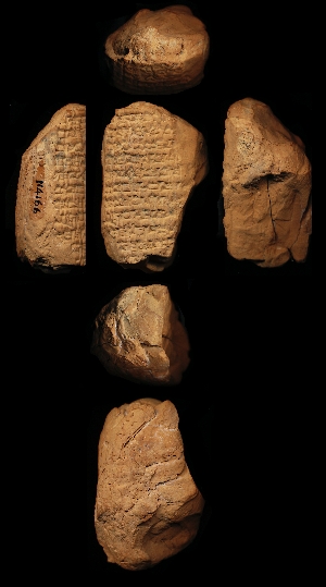 N4166