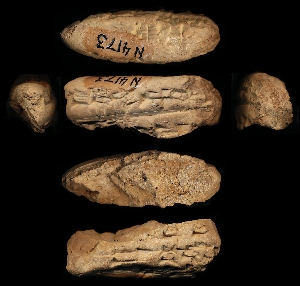 N4173