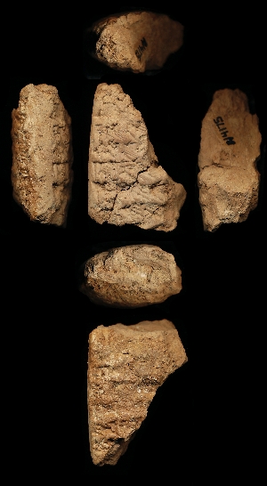 N4175