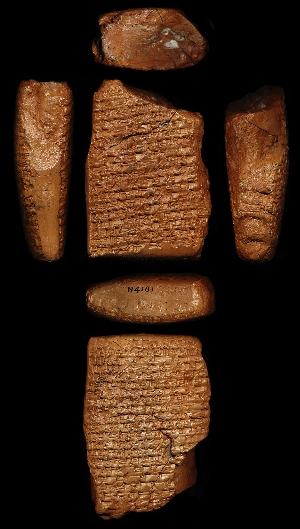 N4181