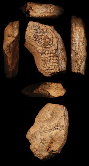 N4216