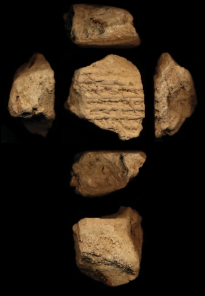 N4244