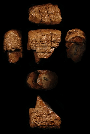 N4256