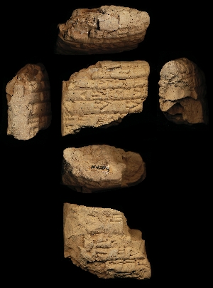 N4294