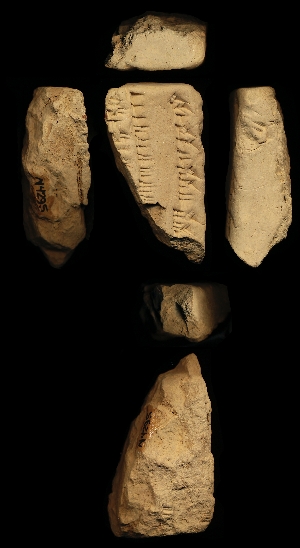 N4295