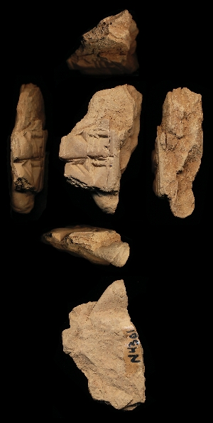 N4301