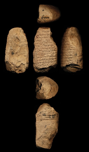 N4329