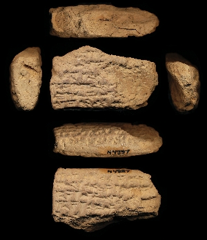 N4337