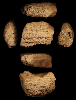 N4338